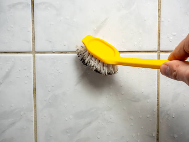 Best Mold Removal Company Near Me  in Big Rapids, MI